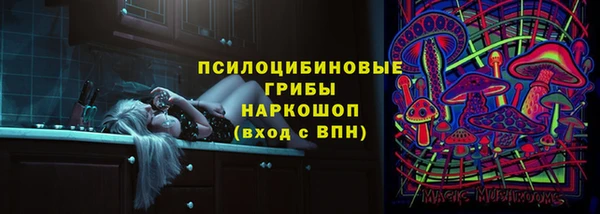 дмт Ладушкин