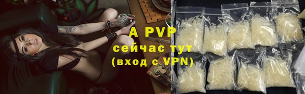 гашик Магас