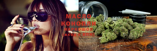 гашик Магас
