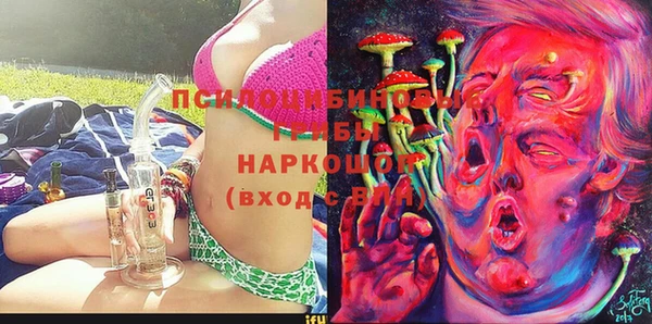 дмт Лихославль