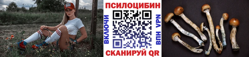 Галлюциногенные грибы Psilocybine cubensis Среднеколымск